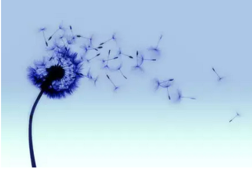 1483759747220256.png blob.png