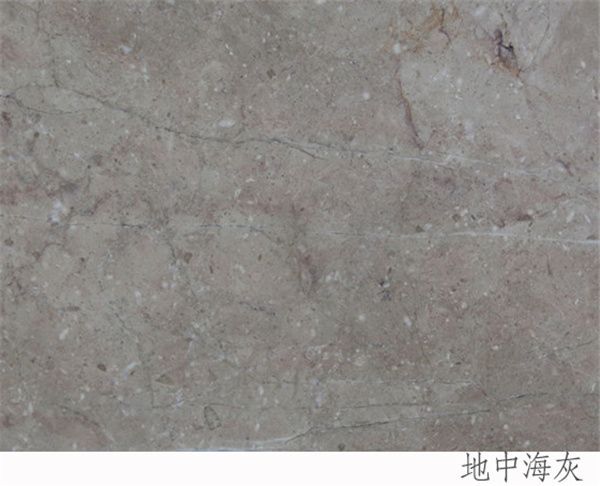 地中?；?/>
                              </div> 
                              <p class=